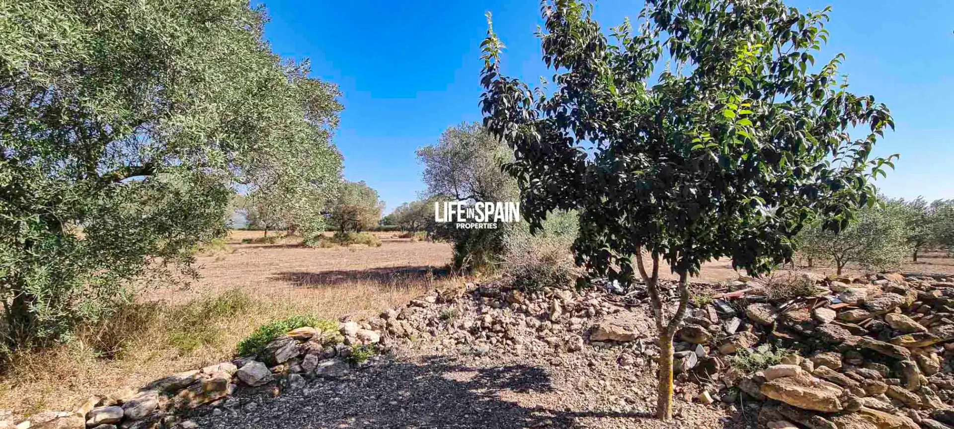 Maison rustique à vendre à Ginestar, imagen 13