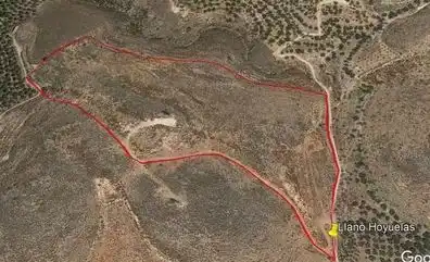 Terrain rustique à vendre à Alcolea, imagen 6