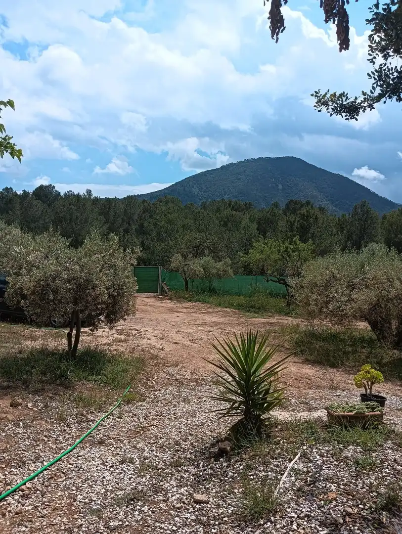 Rural land for sale in Onda, imagen 6