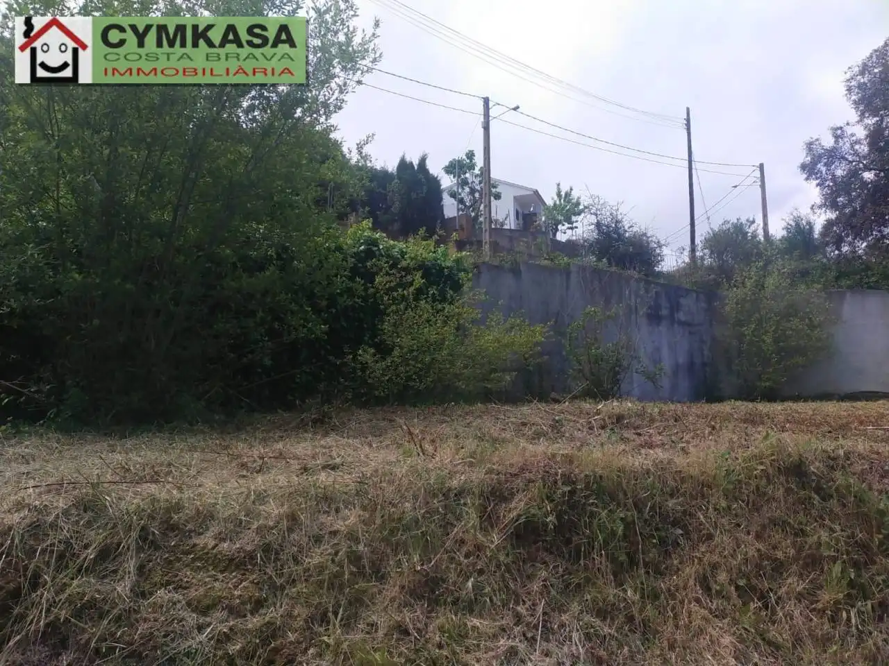 Terreno rústico en venta en Calle SANTA MARTA, imagen 3