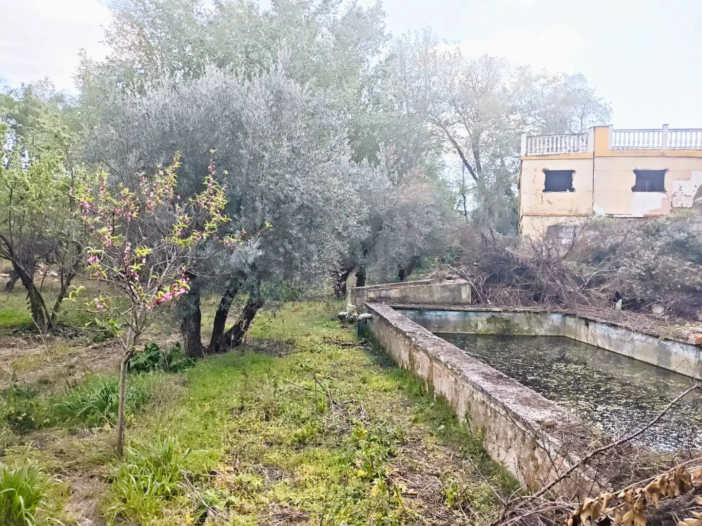 Grundstücke zum Verkauf in Jaén