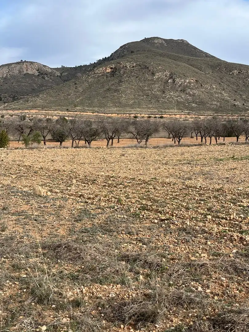 Residencial en venta en Hondón de los Frailes