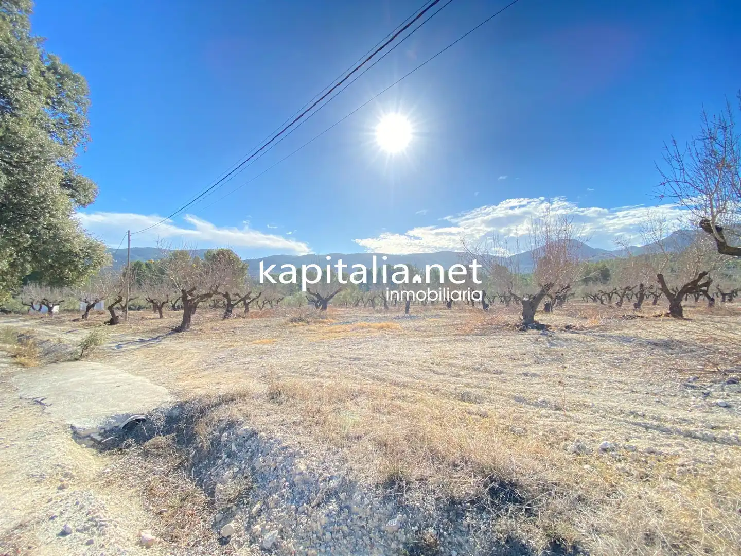 Finca rústica en venta en Penàguila con Calefacción, Jardín privado y Terraza