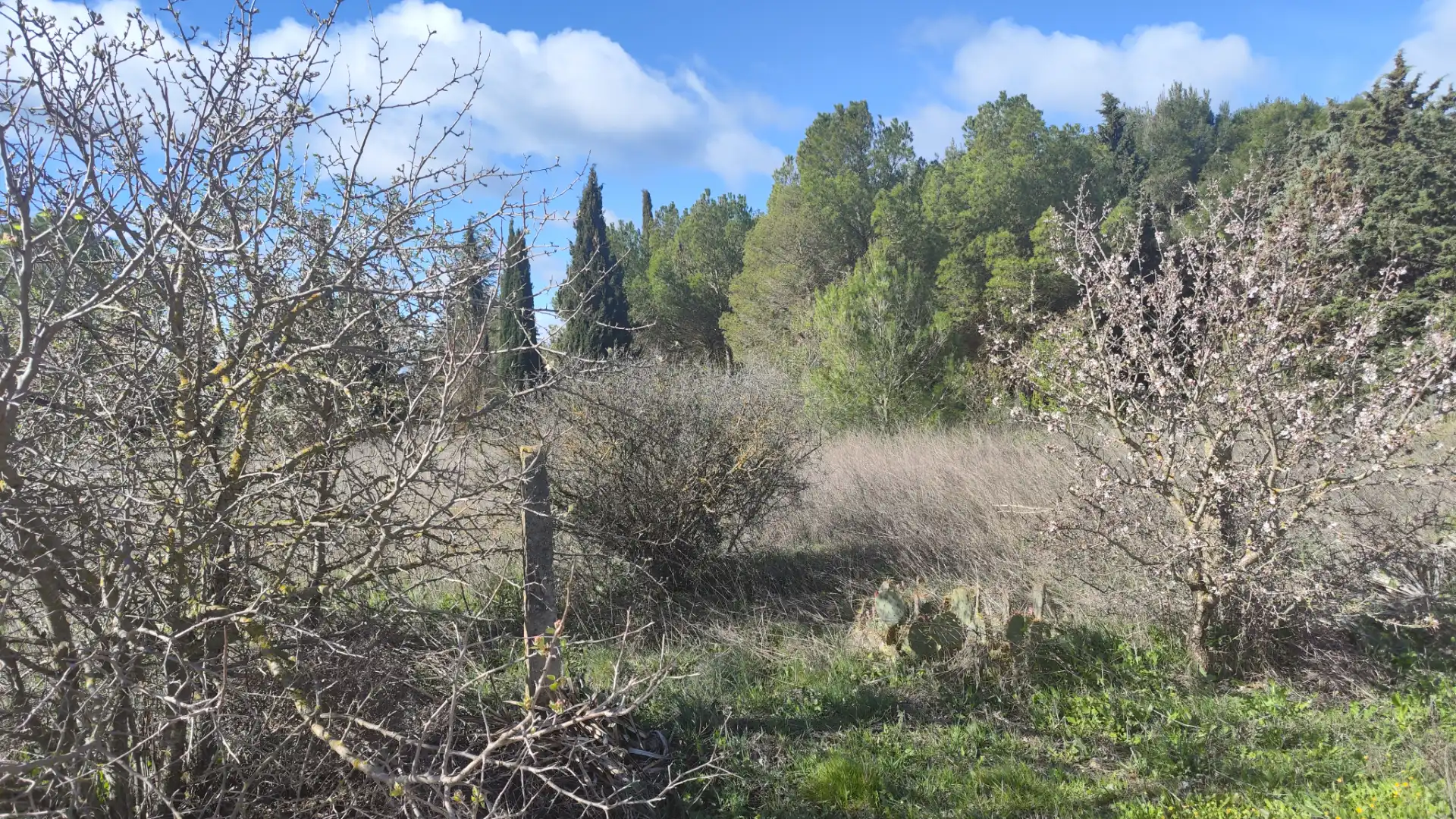 Terreni e lotti in vendita a Urbanización Viña del Romero 16, imagen 5