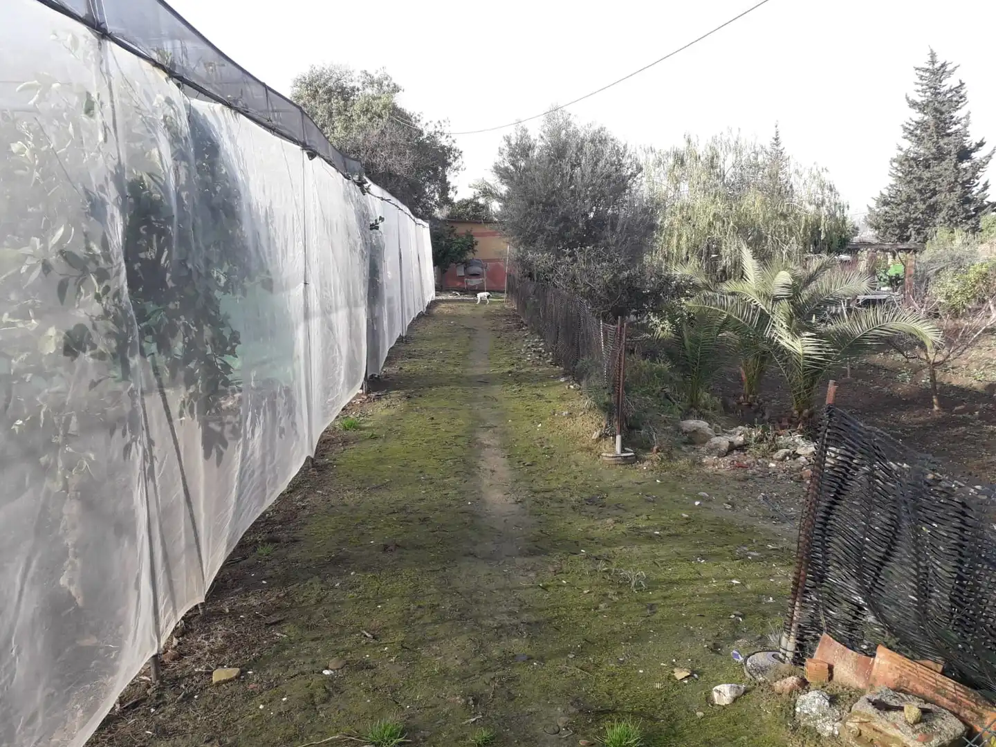 Terreni e lotti in vendita a Villafranco del Guadalhorce, imagen 24