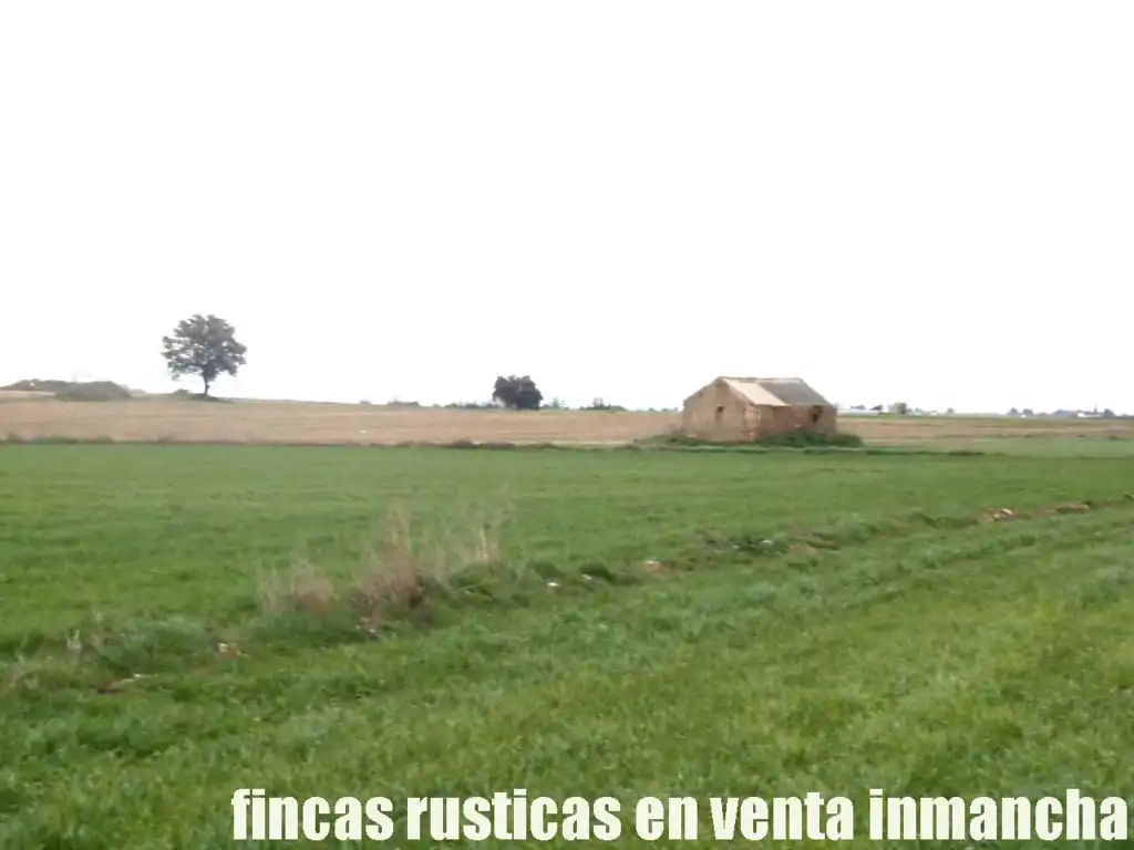 Terreno rústico en venta en Daimiel, imagen 16