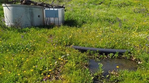 Foto 4 de Terreno en venta en Cártama, Málaga