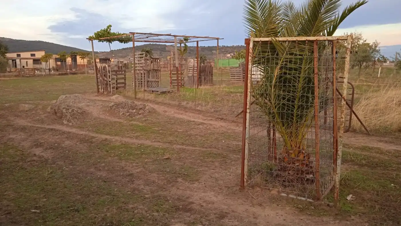 Terreni e lotti in vendita a Sierra de Fuentes, imagen 5