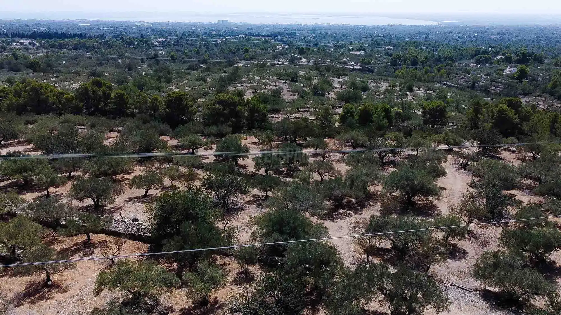 Country homes for sale in L'Ampolla