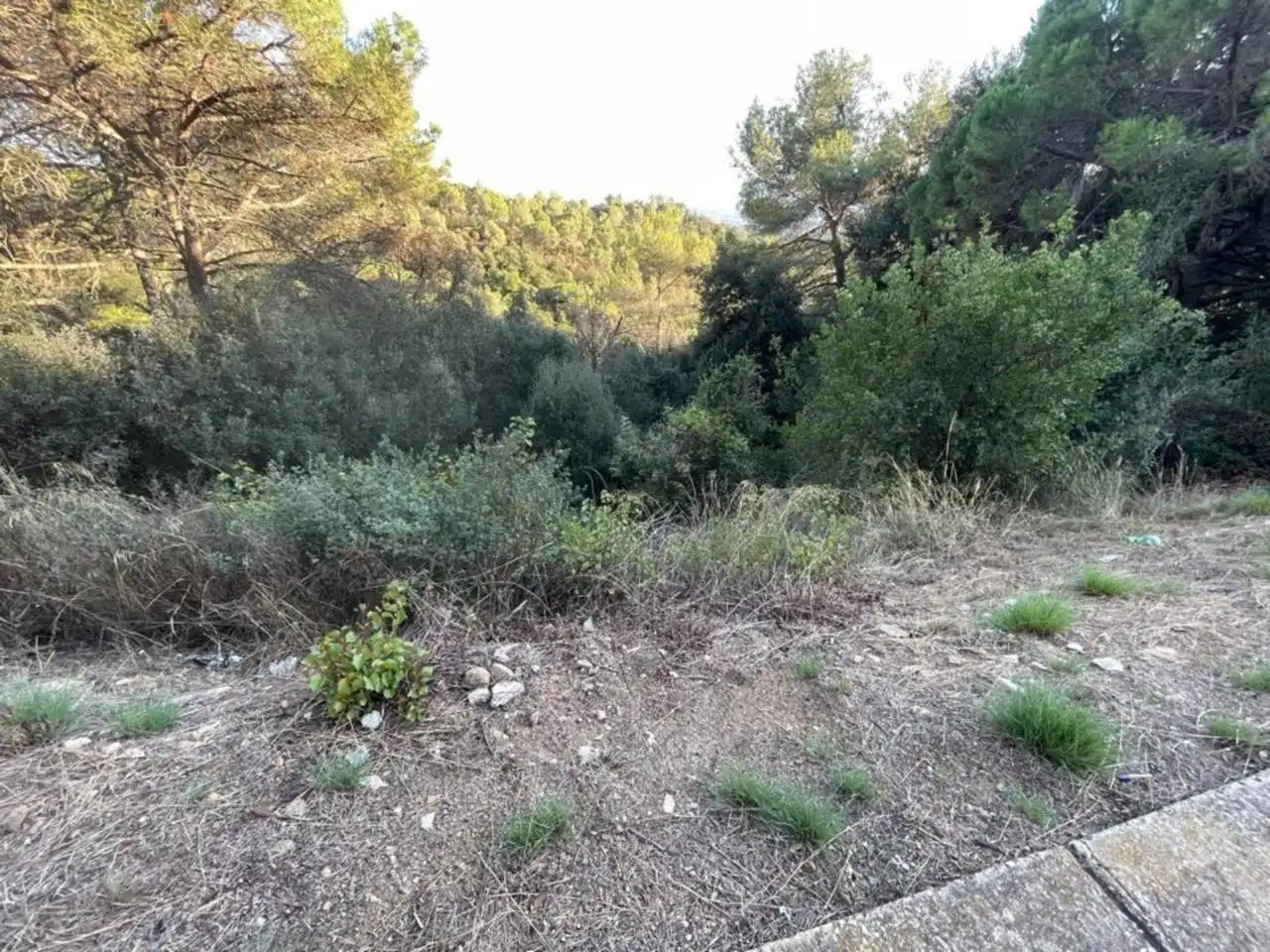 Terreny residencial en venda a Calle Eduard Toldrà 54, imagen 6