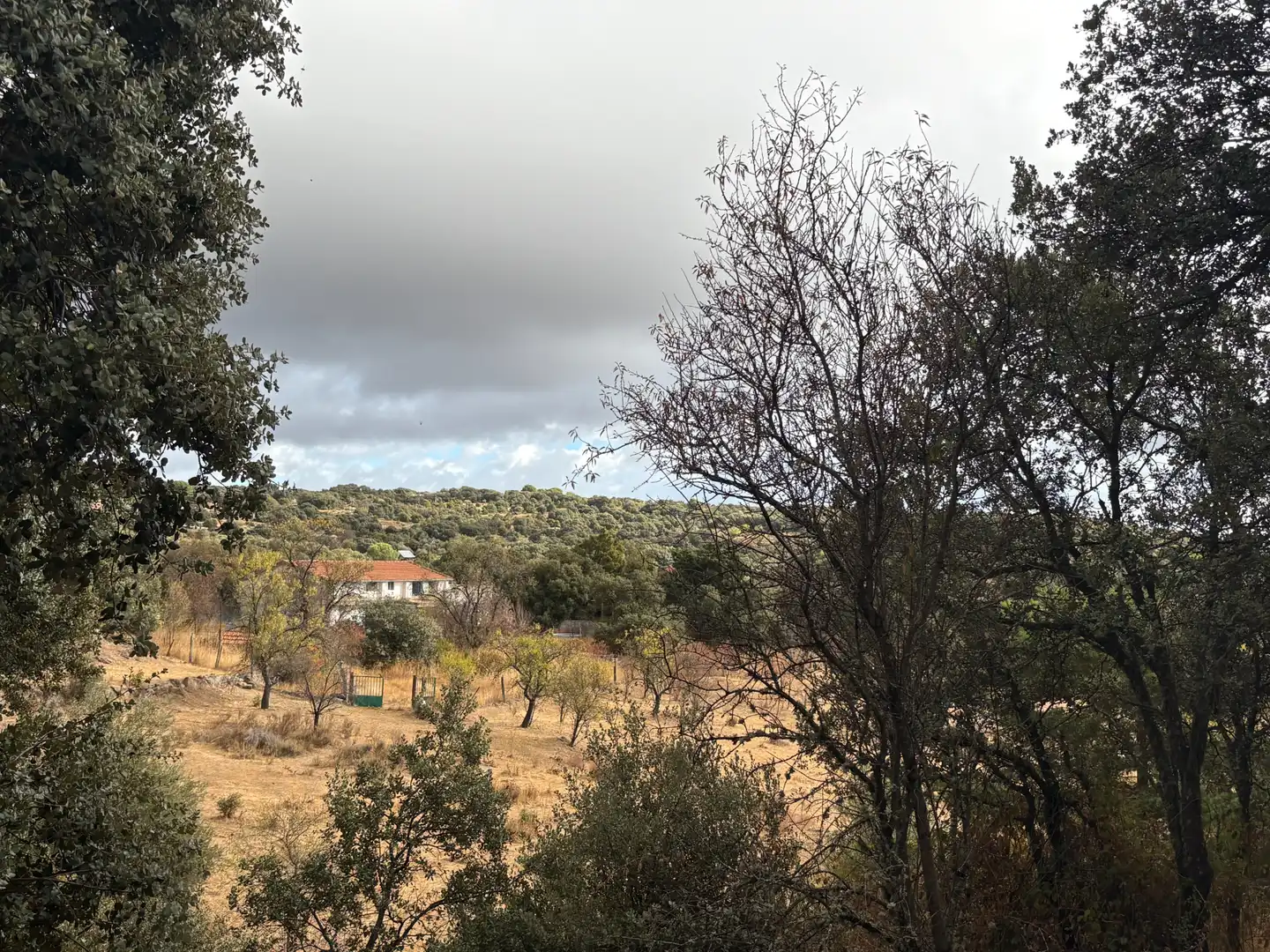 Country homes for sale in Cenicientos