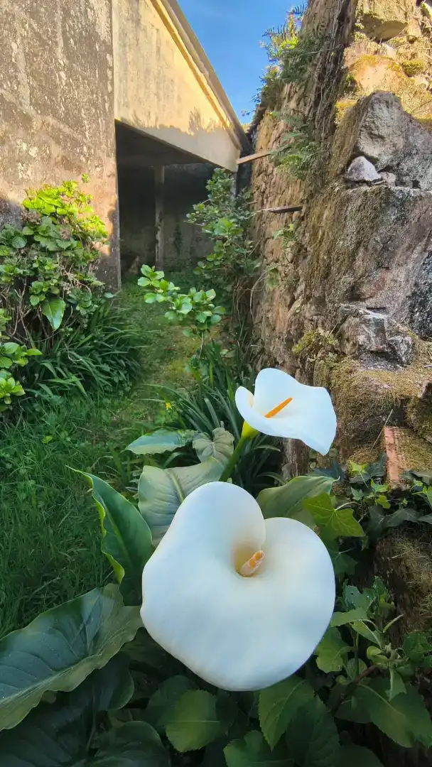 Jardín de Piso en venta en A Cañiza   con Calefacción, Jardín privado y Terraza