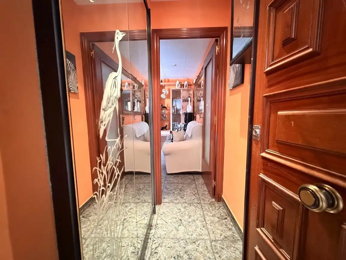 Appartement à vendre à Calle PINTOR ROSALES, imagen 4