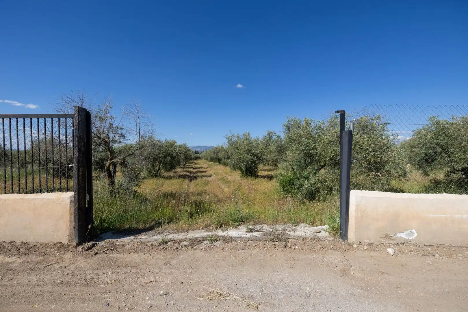 Rural land for sale in Polígono 3 Parcela 220 Arnique, imagen 4
