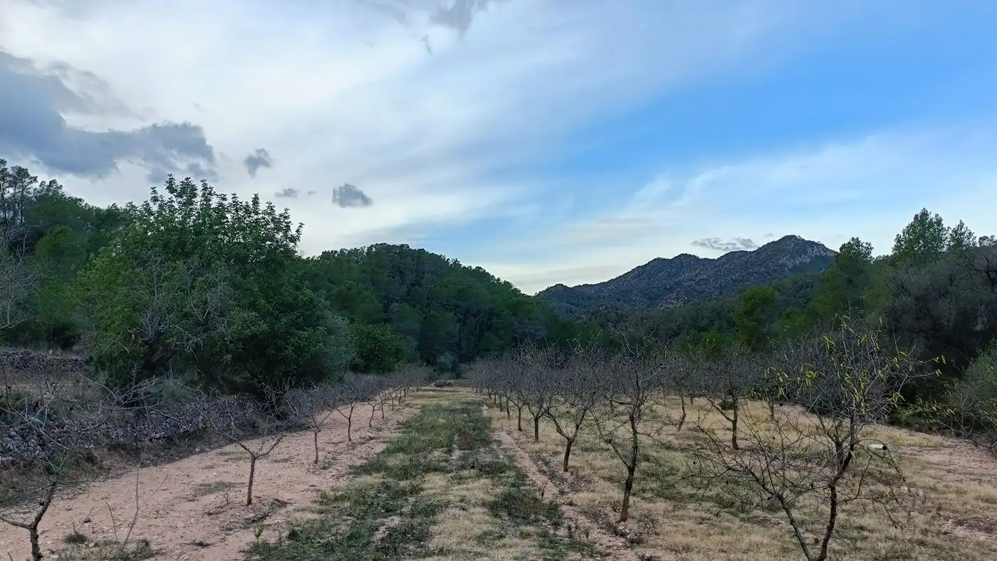 Terreny rústic en venda a Miravet, imagen 5