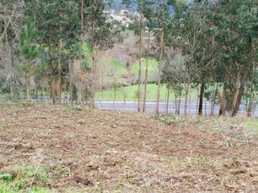 Terreno rustico in vendita a Bembrive