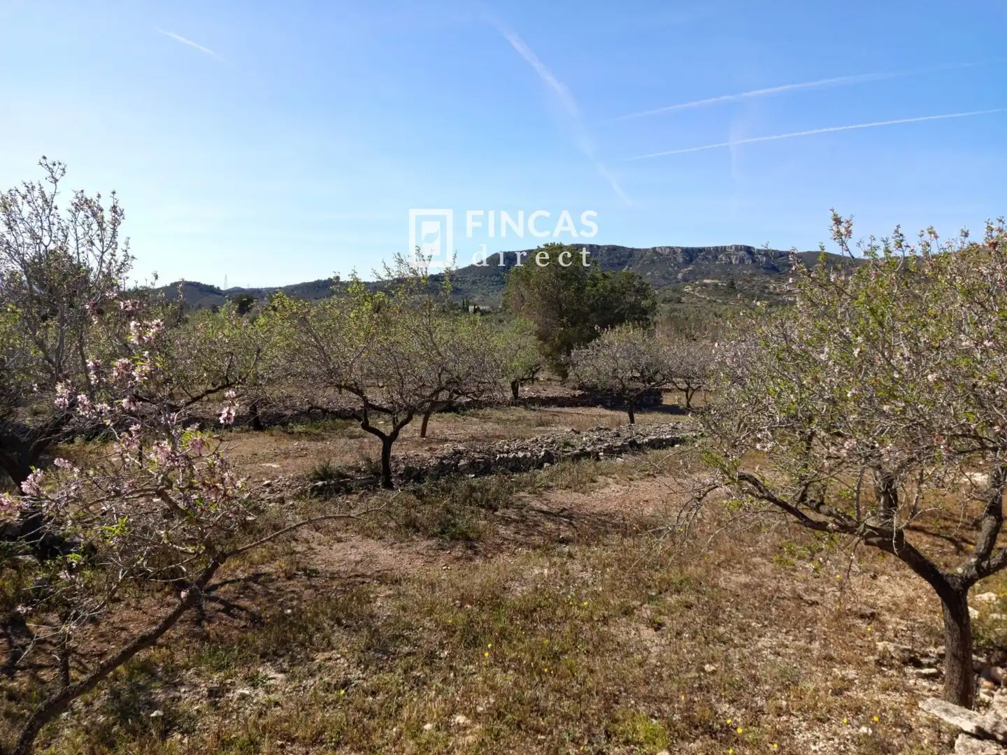 Landhaus zum Verkauf in RJGC+P9 Coll de l'Alba, imagen 26