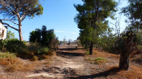 Foto 5 de Terreny industrial en venda a Carrer Mutxamel, Zona de - Mutxamel, Cami Sabateta, -1, La Huerta, Alicante
