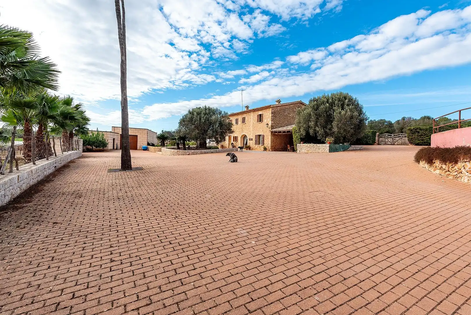 Vista exterior de Finca rústica en venta en  Palma de Mallorca con Calefacción, Jardín privado y Terraza