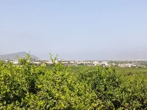 Rustikales Grundstück zum Verkauf in Jacarilla, imagen 7
