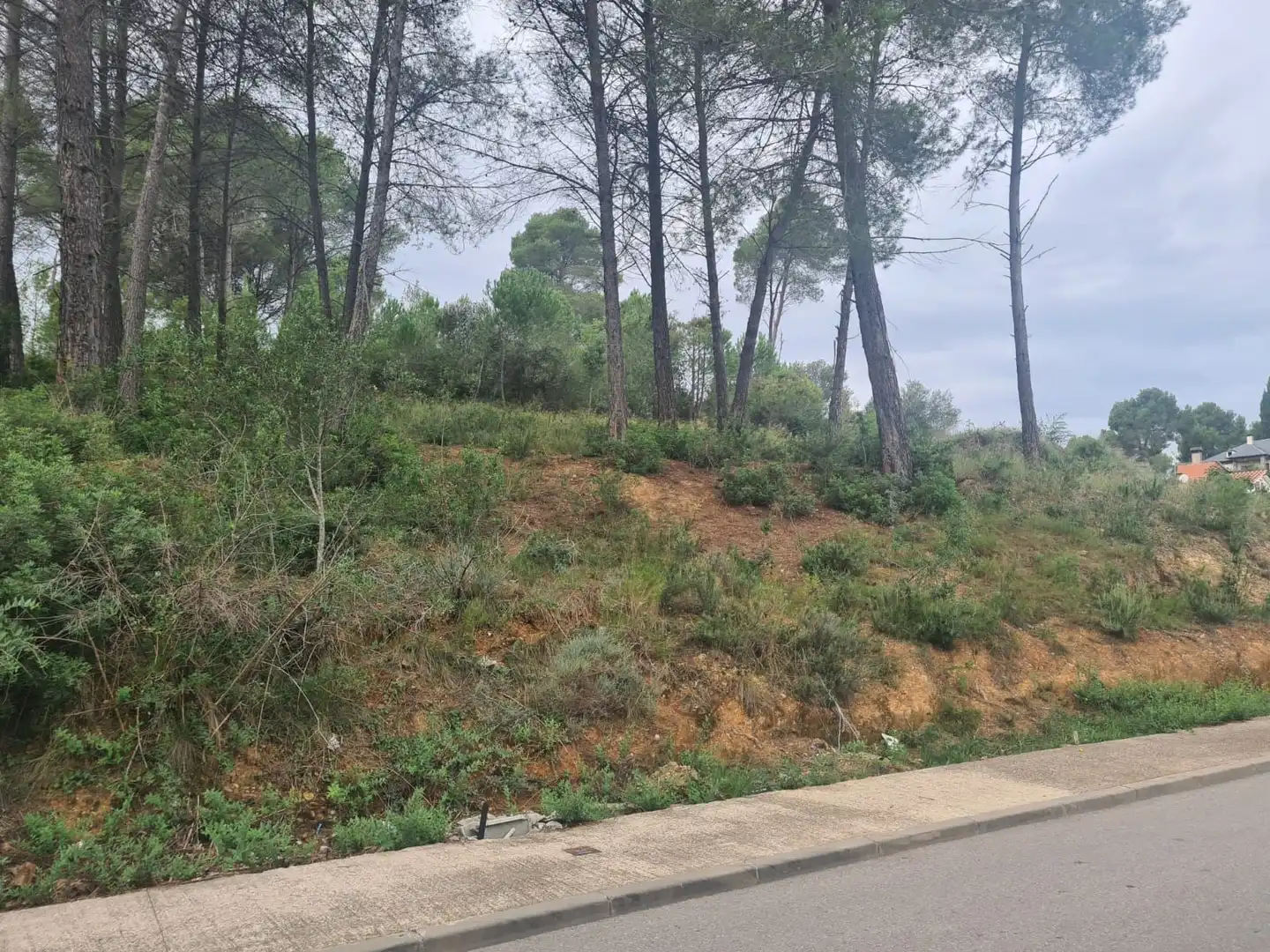 Terreny residencial en venda a Carrer de Can Bosch 76, imagen 7