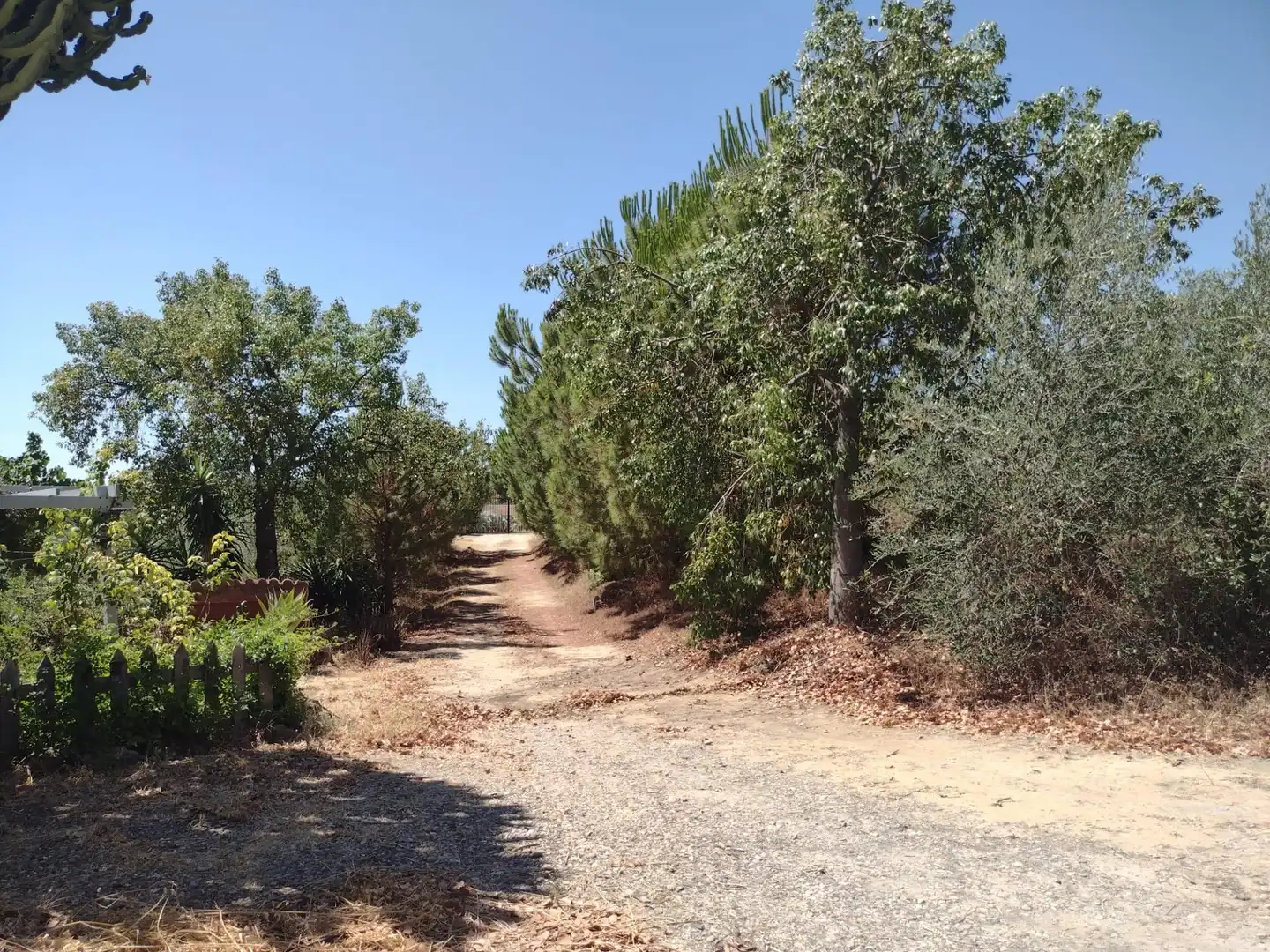 Casa o chalet en venta en Cantillana con Jardín privado y Piscina