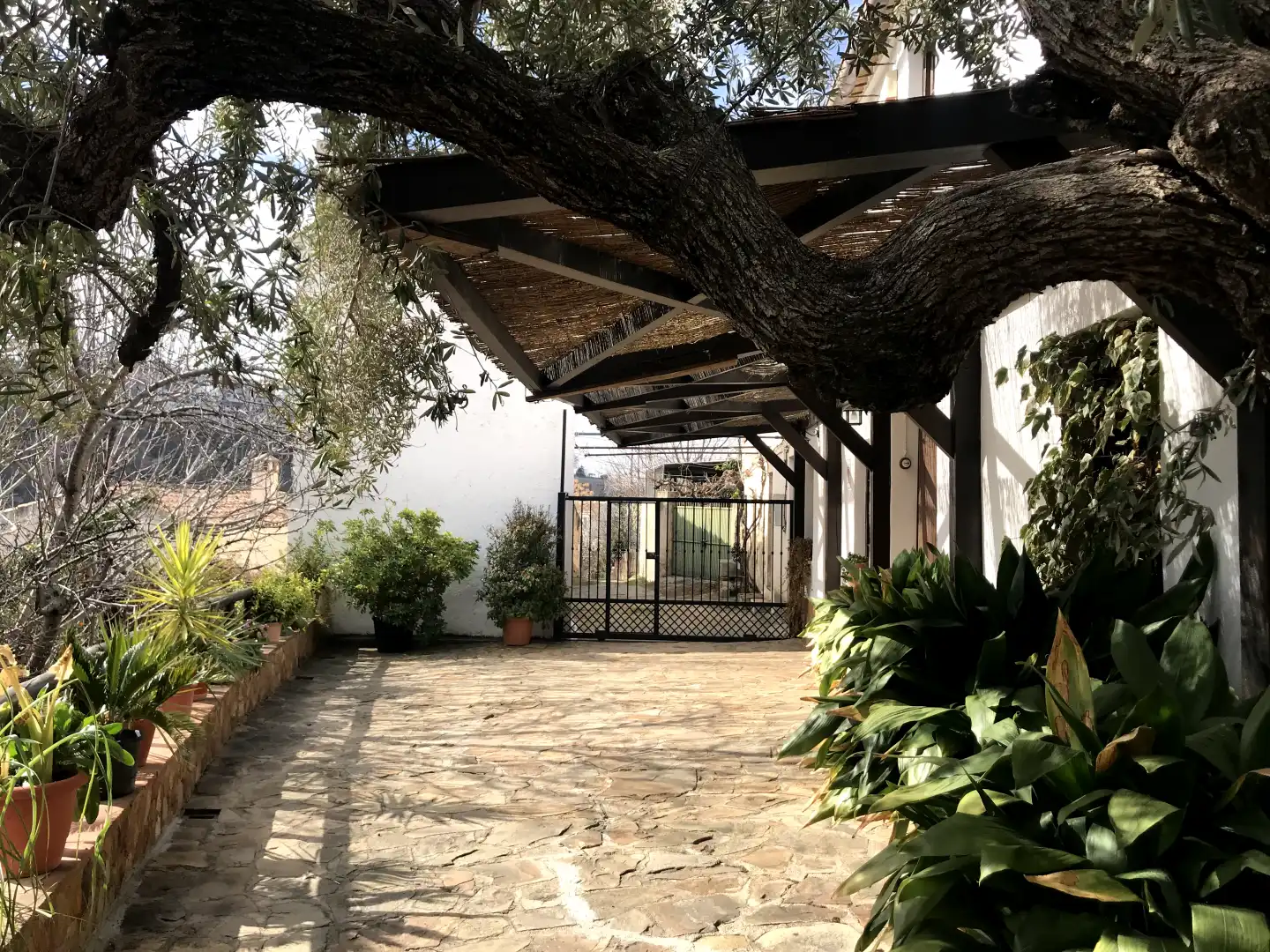Wohnbaugrundstück zum Verkauf in Monachil pueblo, imagen 15