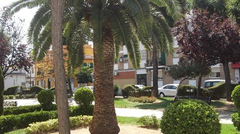 Photo 5 of Apartment for sale in Plaza Doctor Gregorio Gracia, Villarrubia, Córdoba