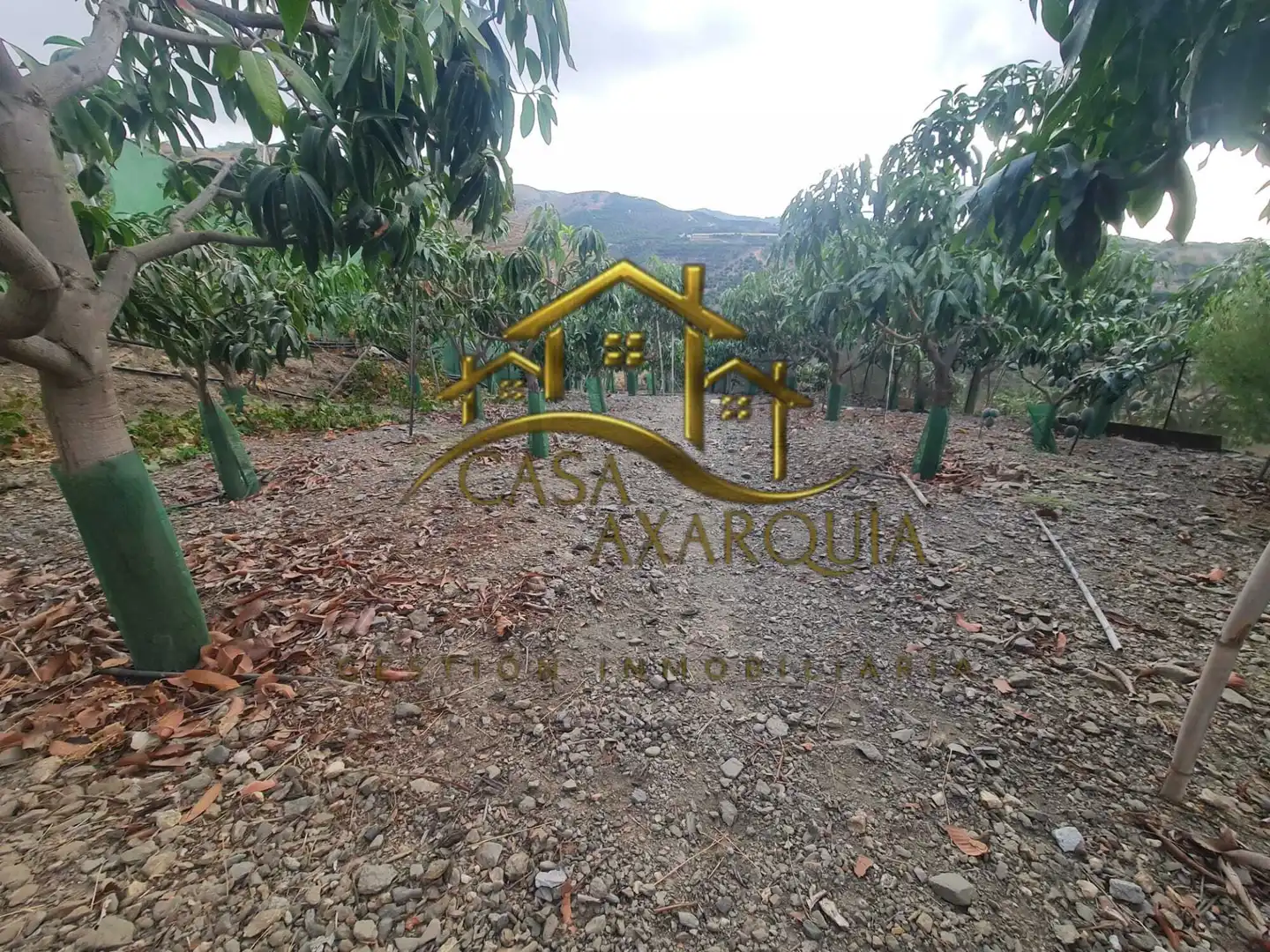 Finca rústica en venda en Vélez-Málaga amb Jardí privat, Terrassa i Piscina