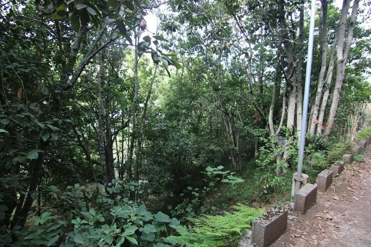 Terreno en venta en Valleseco