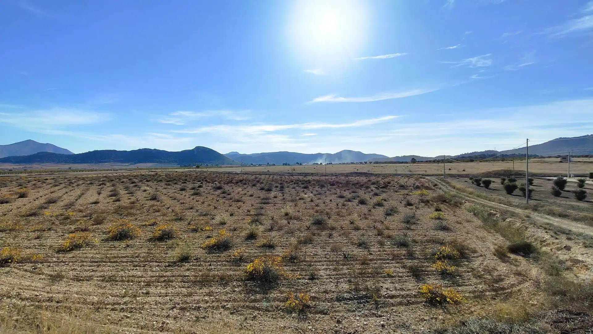 Lands and plots for sale in Abanilla, imagen 17