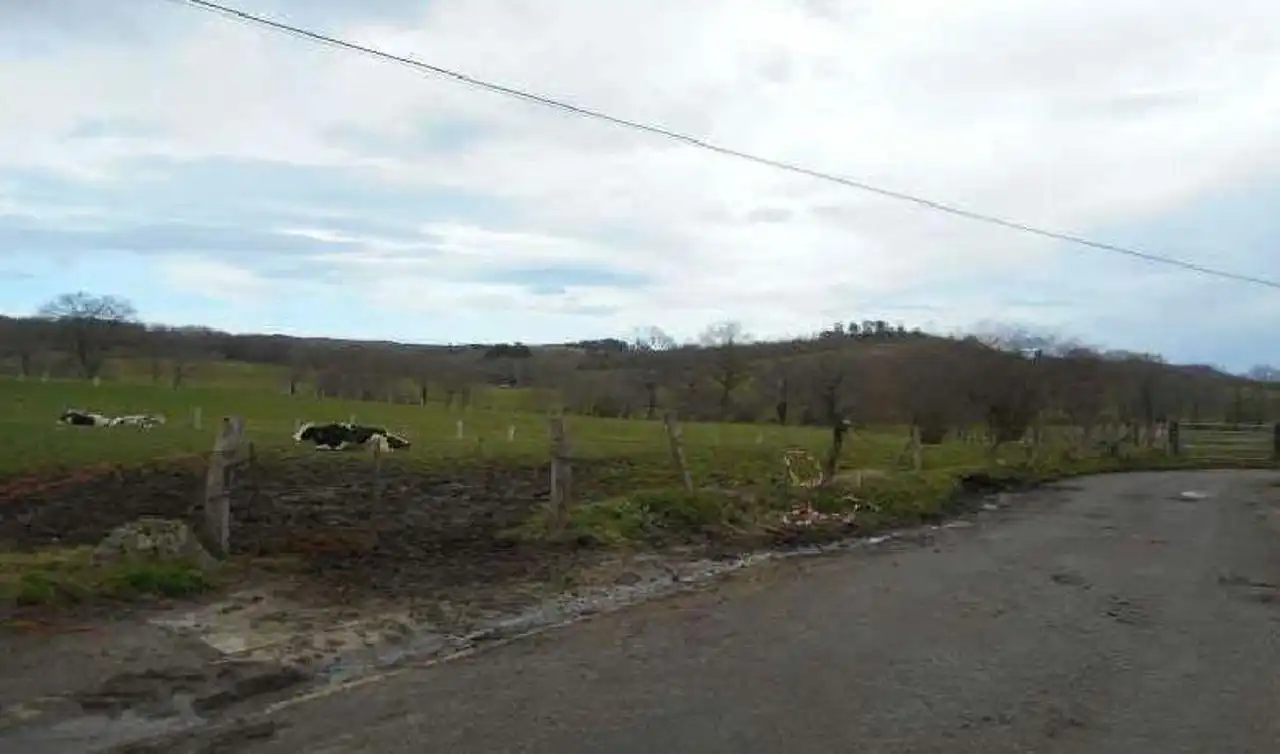 Terreny rústic en venda a Nava