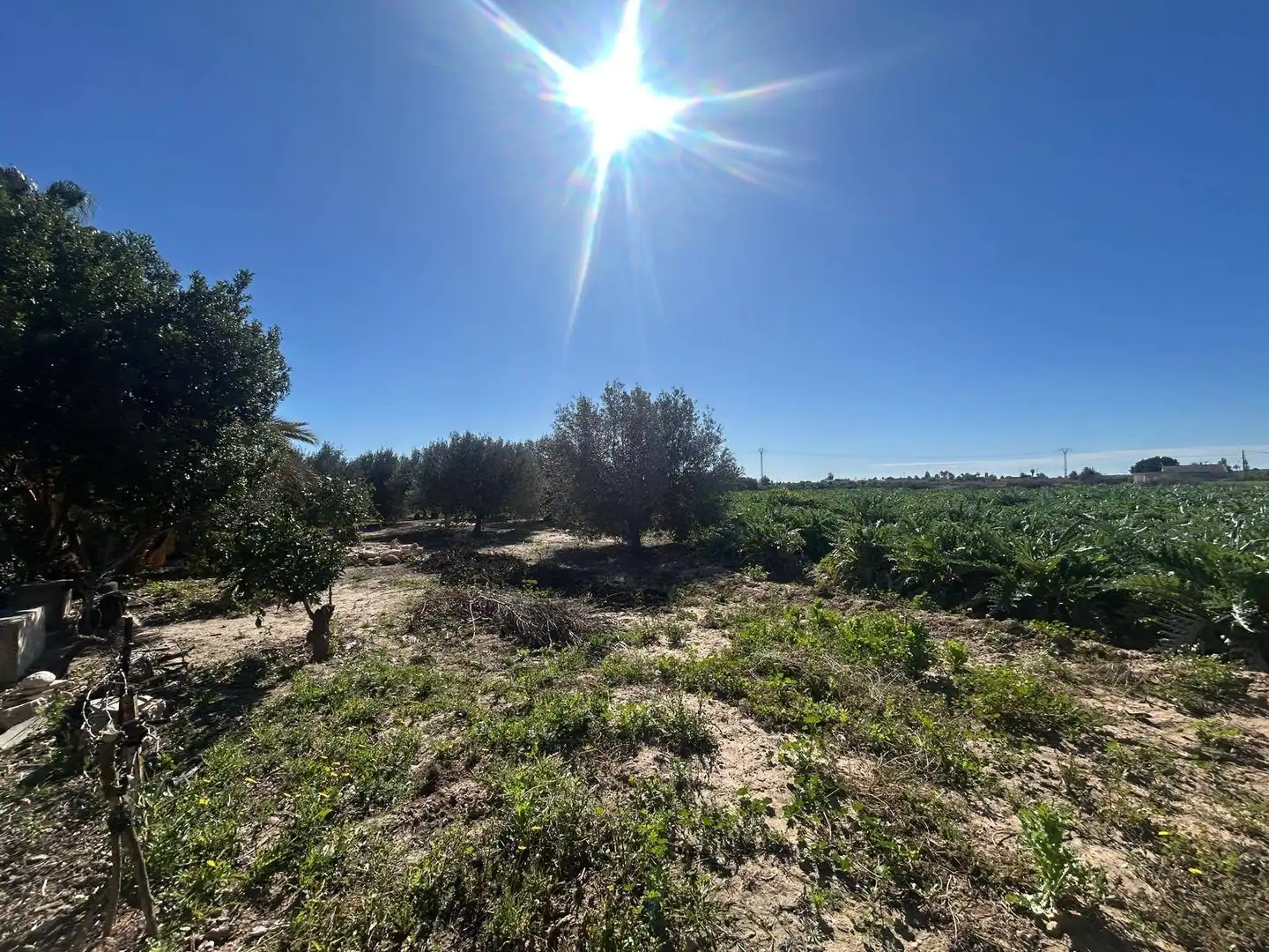 Villa avec jardin à vendre à Polígono Poligono 1, imagen 37