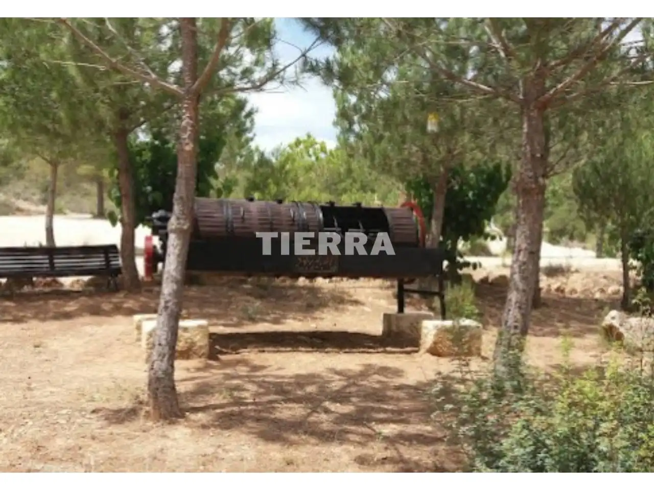 Exterior view of Buildings for sale in Socovos