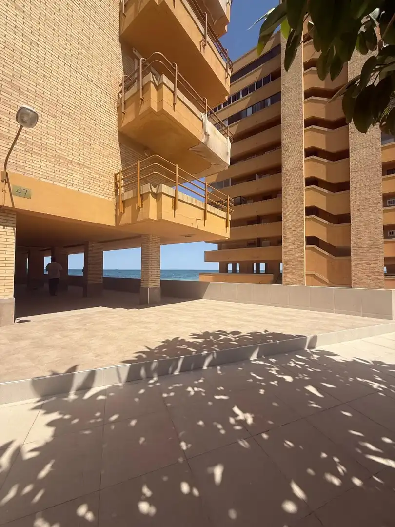 Terrace of Study for sale in Elche / Elx  with Terrace, Furnished and TV