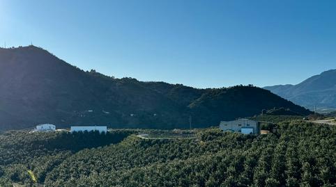 Foto 4 de Finca rústica en venda a Calle Virgen de la Cabeza, Pizarra, Málaga