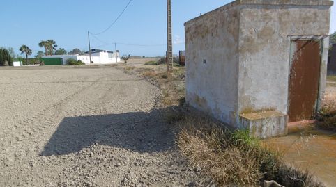 Finca de cultivo en Amposta. Terres del Ebre, imatge 3