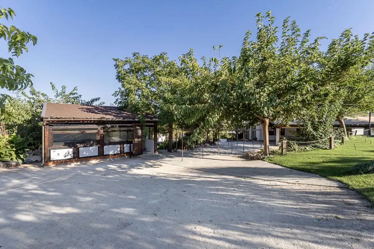 Casa o chalet en venta en Íllora, Granada