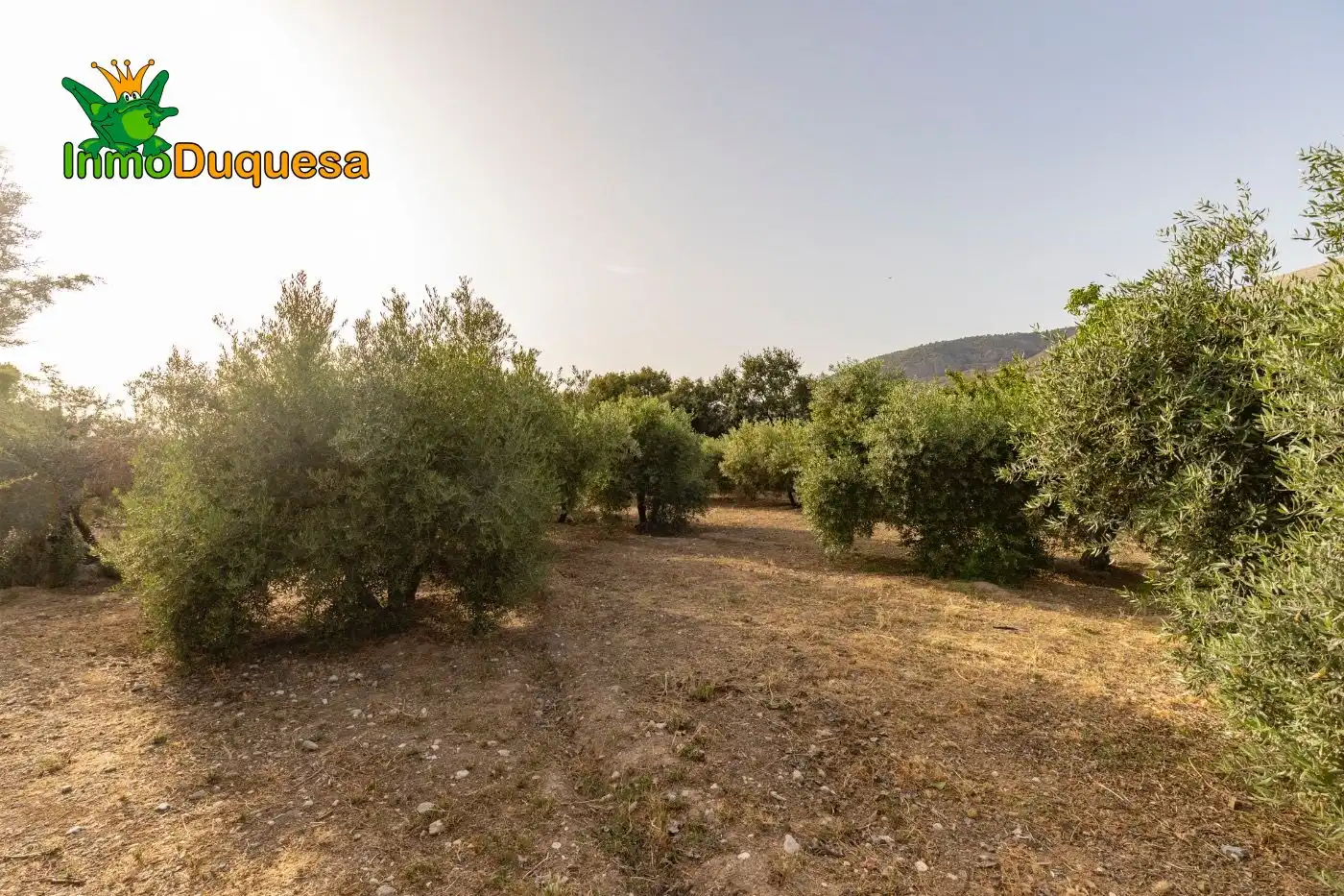 Chalet con terraza en venta en Víznar, imagen 78