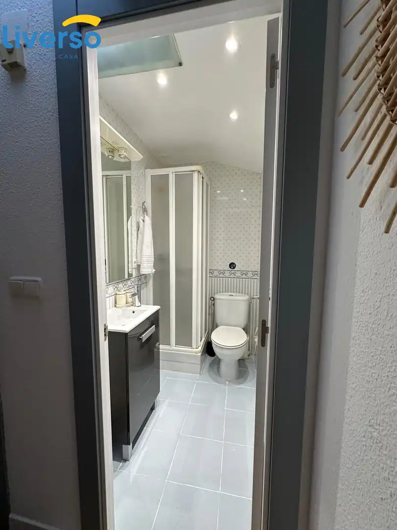 Attic for rent in Casco Antiguo