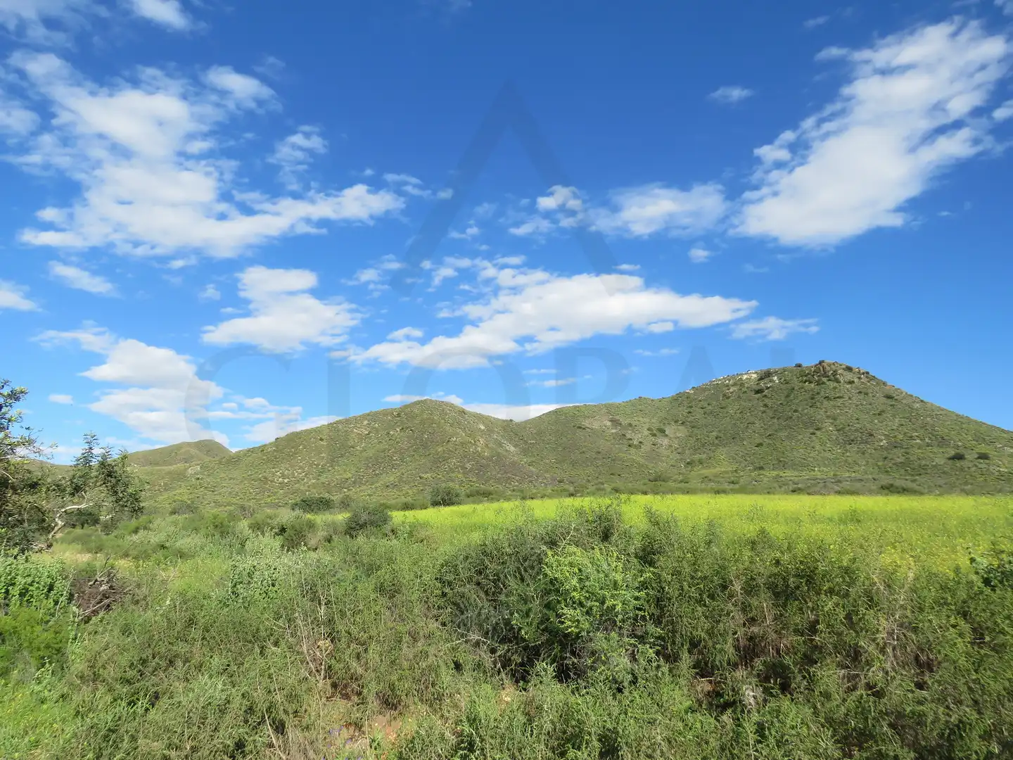 Land for sale in Cartagena