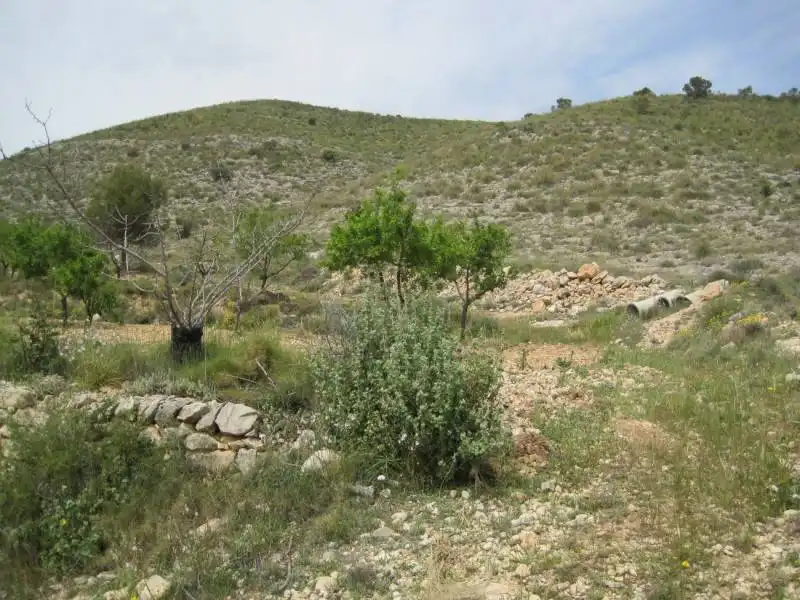 Terreno rústico en venta en Hondón de los Frailes, imagen 2