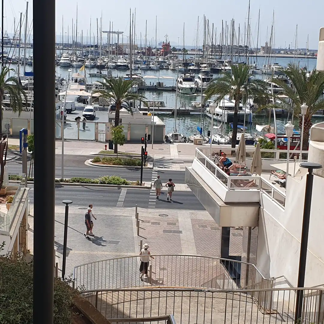 Vista exterior de Pis en venda en  Palma de Mallorca amb Aire condicionat, Parquet i Terrassa