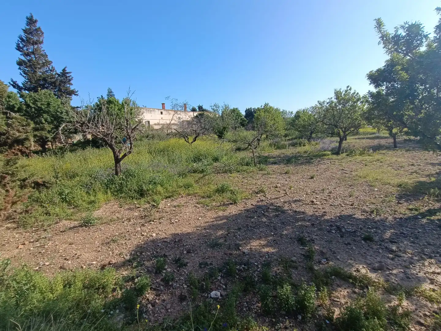 Finca rústica en venda a Pasaje la Esperanza, 21, Alumbres - Escombreras