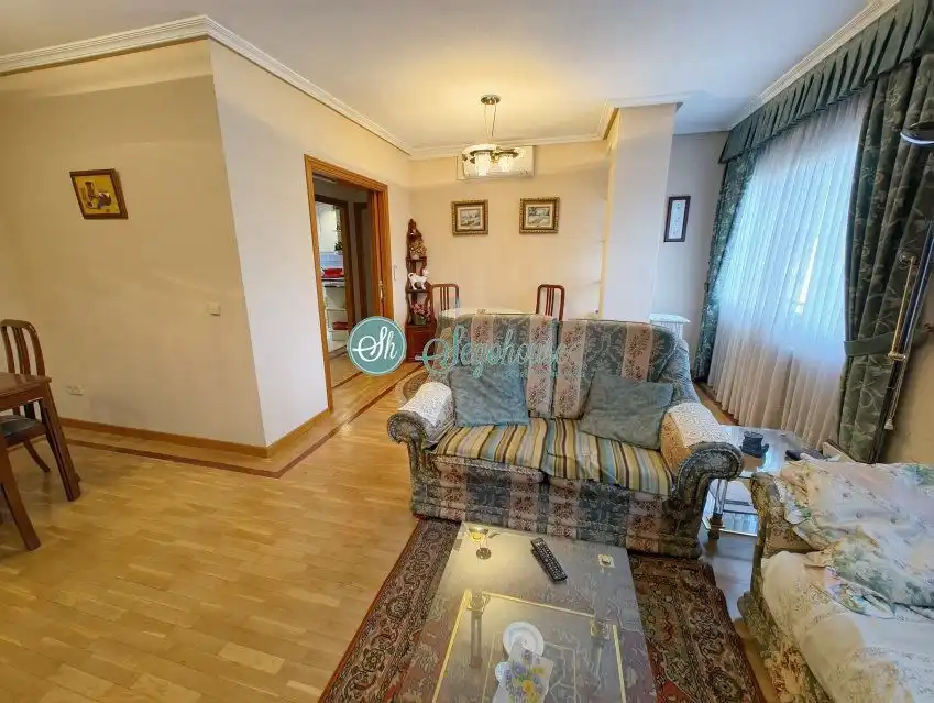 Sala d'estar de Pis en venda en Segovia amb Aire condicionat, Calefacció i Parquet
