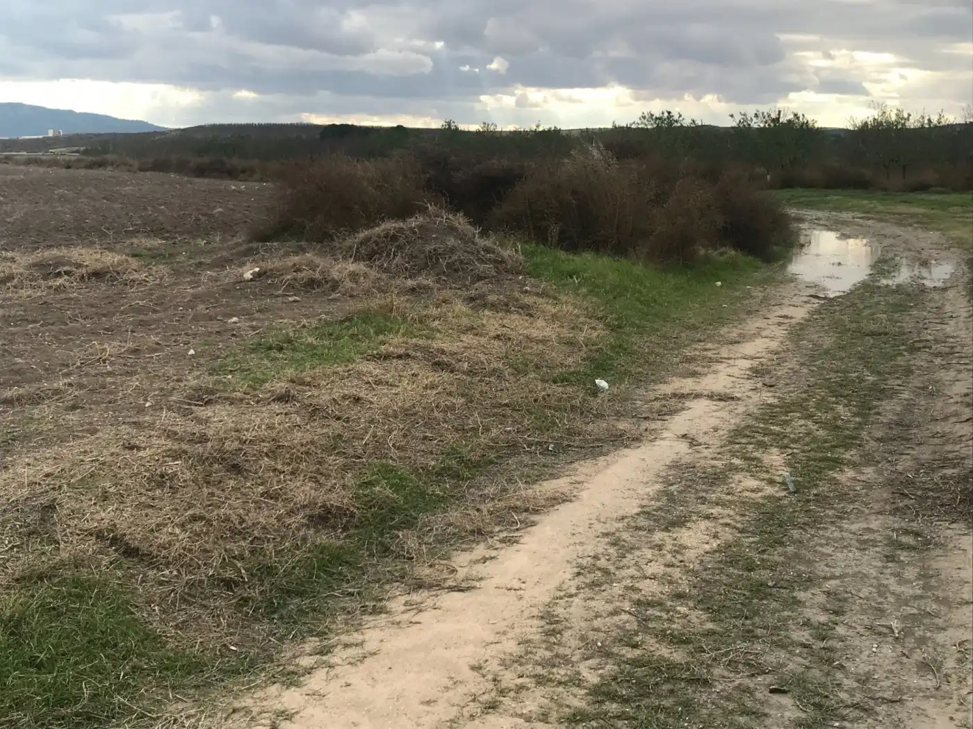 Grundstücke zum Verkauf in Villena