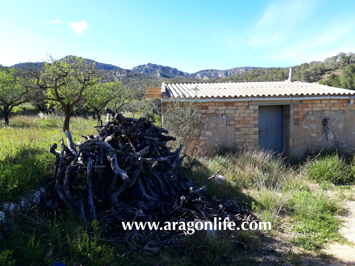Garden of Country homes for sale in El Pinell de Brai