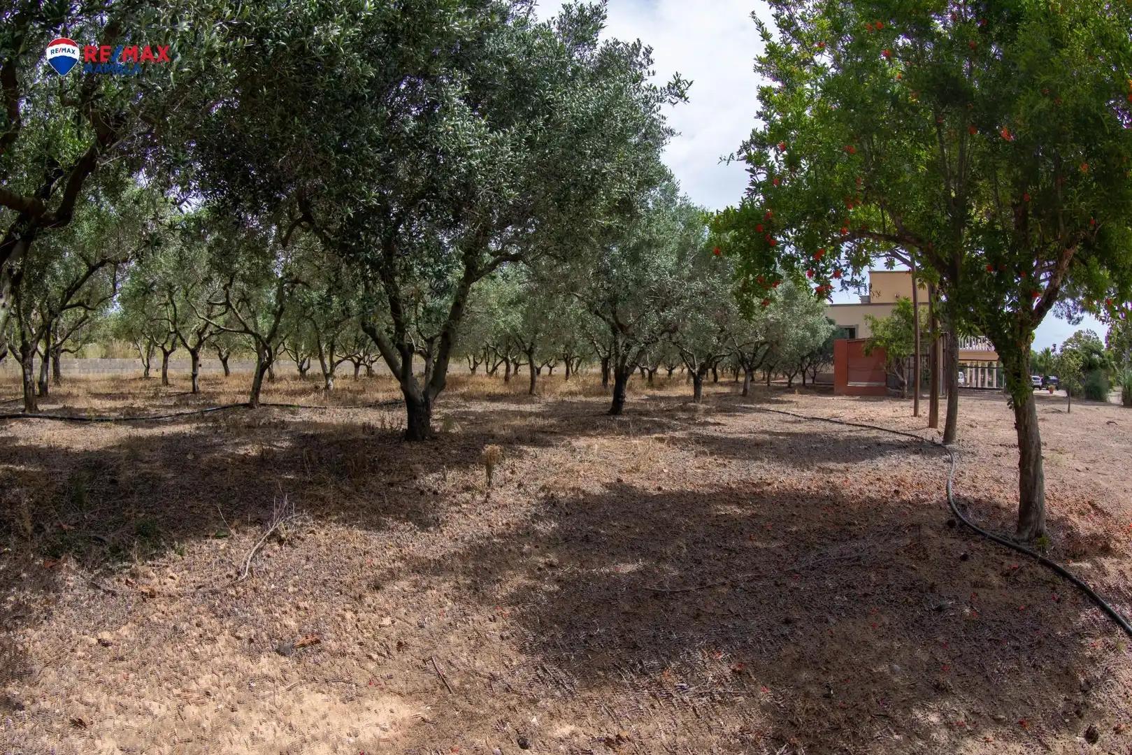Houses for sale in Valls