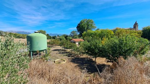 Gran oportunidad. Ollauri. Bonita finca rústica de 1.247 m2 en el precio de 30.000 €., immagine 2