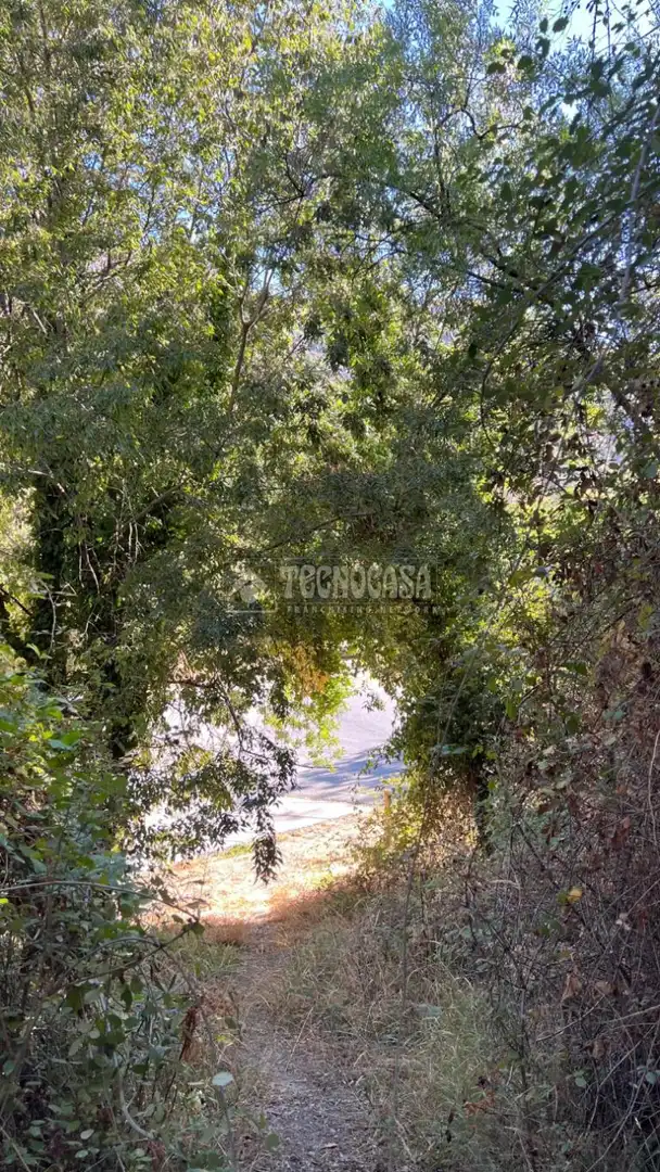 Rural land for sale in Güéjar Sierra, imagen 6